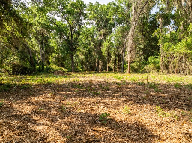 16 Comfort Pt, Saint Helena Island, SC 29920