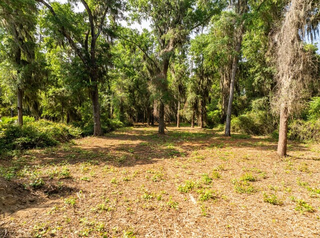 16 Comfort Pt, Saint Helena Island, SC 29920