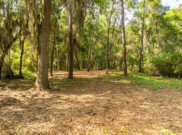16 Comfort Pt, Saint Helena Island, SC 29920