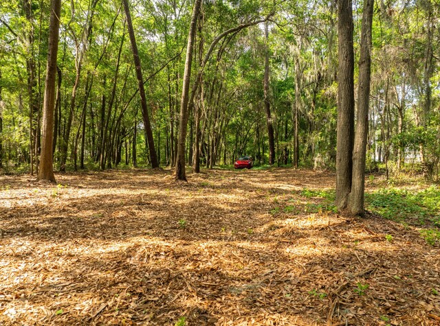 16 Comfort Pt, Saint Helena Island, SC 29920