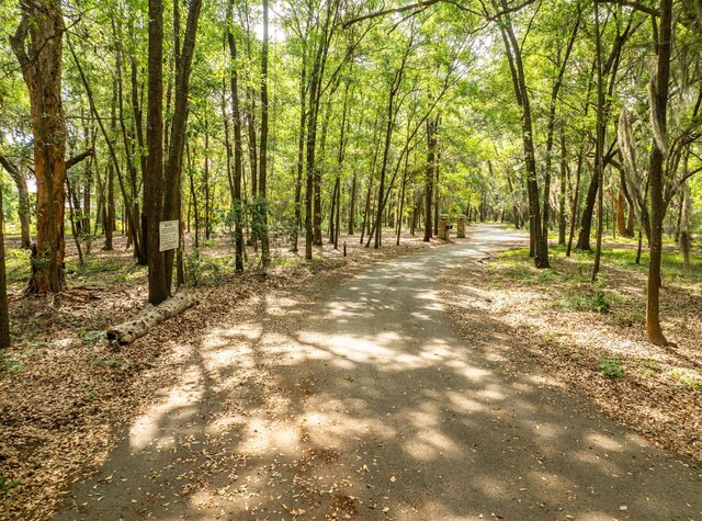 16 Comfort Pt, Saint Helena Island, SC 29920