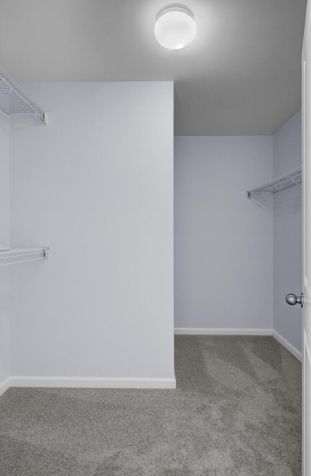 123 Blackwater Way, Moncks Corner, SC 29461 - spacious closet with carpet floors