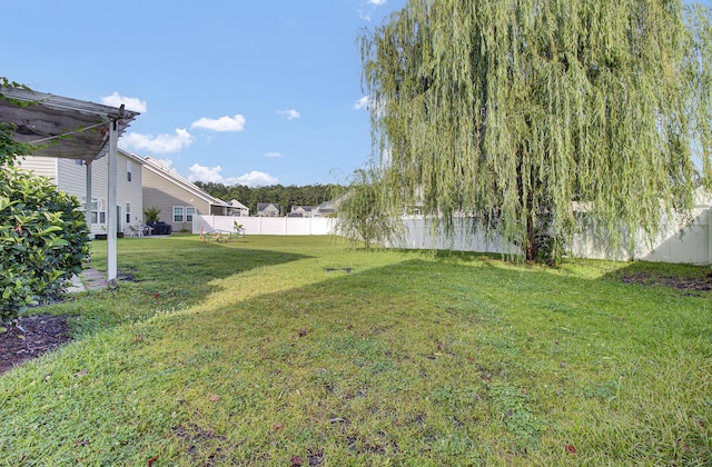 123 Blackwater Way, Moncks Corner, SC 29461 - view of yard