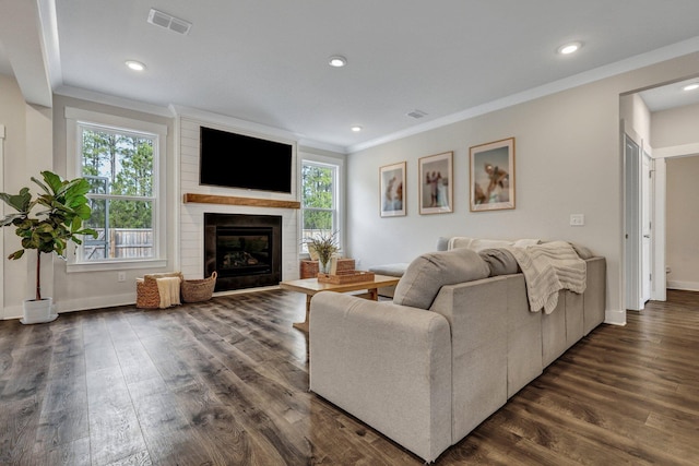 living area featuring dark wood finished floors, visible vents, crown molding, and baseboards