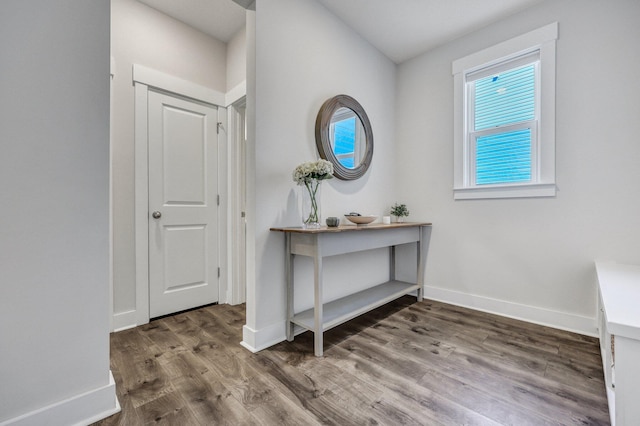 interior space featuring baseboards and wood finished floors