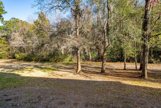 view of yard featuring a view of trees