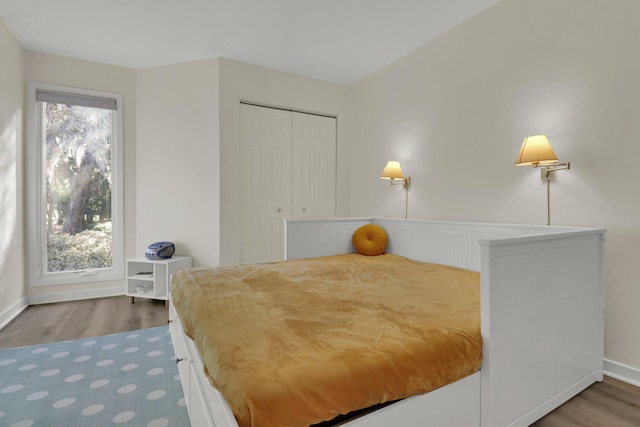 bedroom with wood-type flooring and a closet