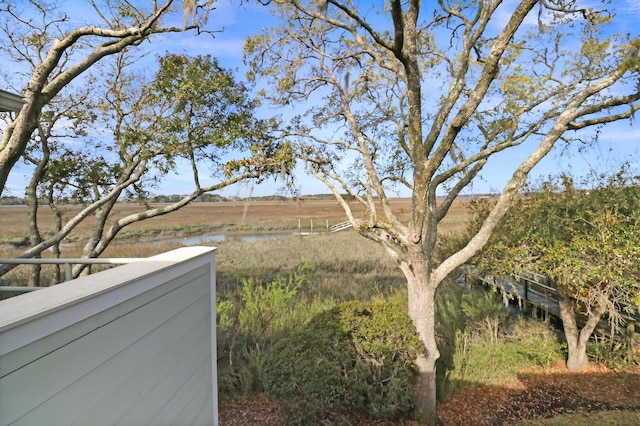 view of yard featuring a rural view