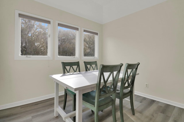 dining room featuring dark wood-type flooring