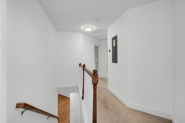 hallway featuring light colored carpet and electric panel