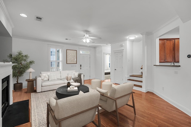 living room featuring ceiling fan, light hardwood / wood-style flooring, and crown molding