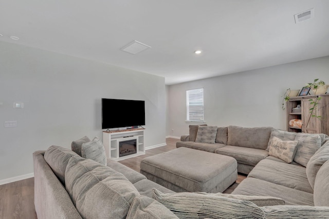 living room with wood-type flooring and a fireplace