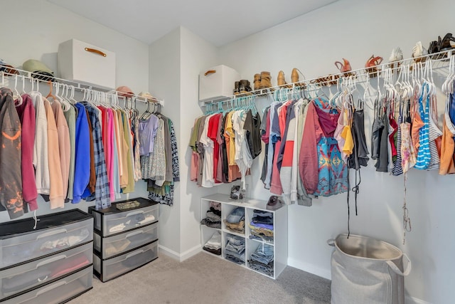 spacious closet featuring carpet