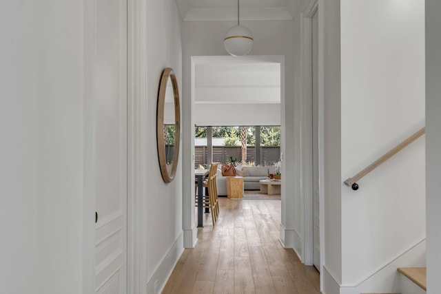 hall featuring crown molding and light hardwood / wood-style flooring