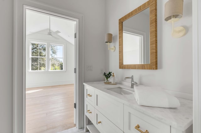 bathroom with hardwood / wood-style flooring and vanity