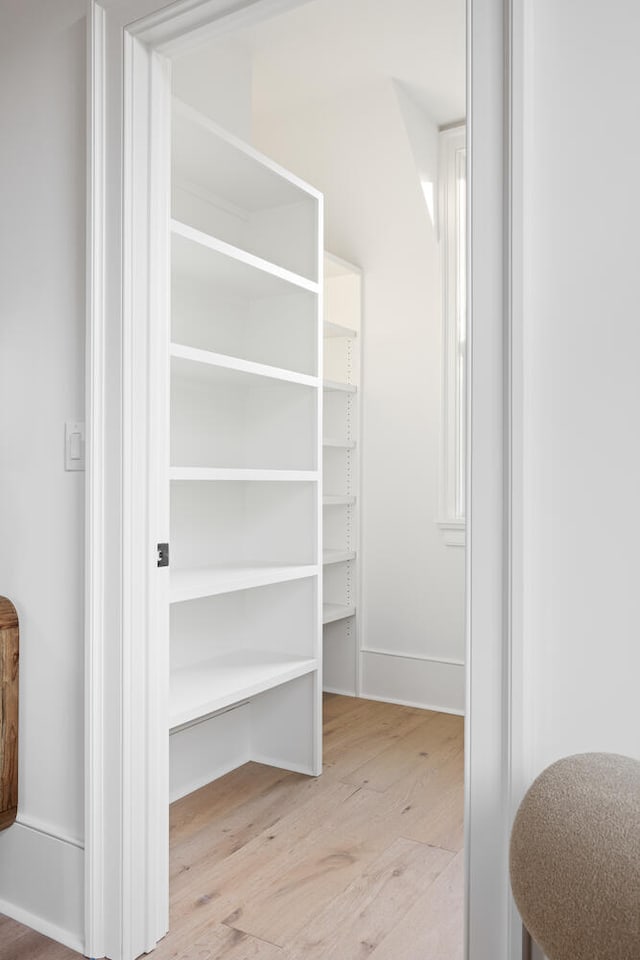 spacious closet featuring light wood-type flooring