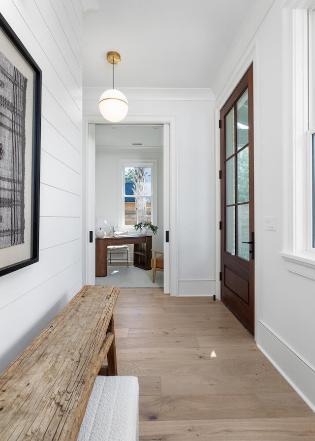 interior space featuring ornamental molding, a healthy amount of sunlight, and light hardwood / wood-style floors