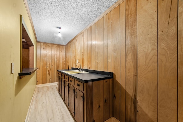 bar featuring wood walls, light hardwood / wood-style floors, crown molding, and sink