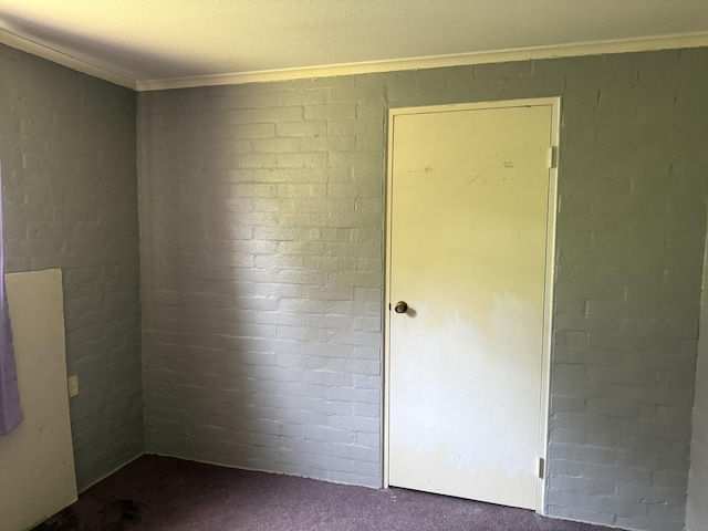 spare room featuring ornamental molding and dark colored carpet