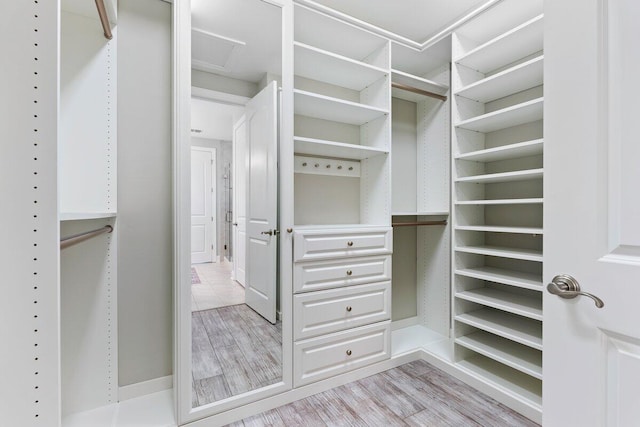 spacious closet featuring light wood-type flooring