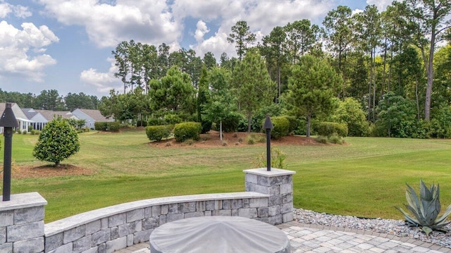 view of yard with a patio area