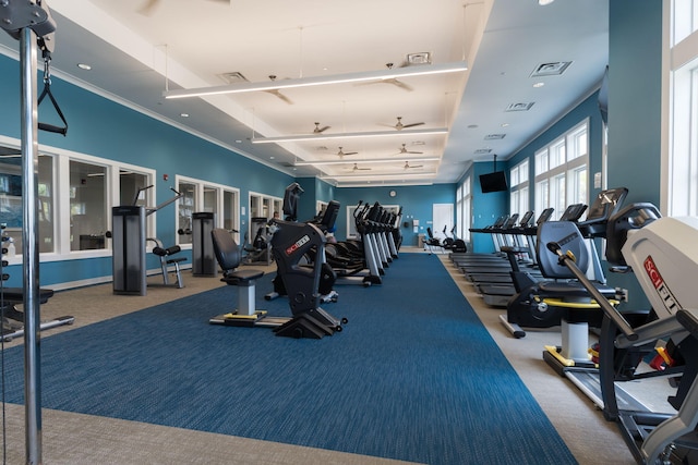 exercise room featuring carpet flooring