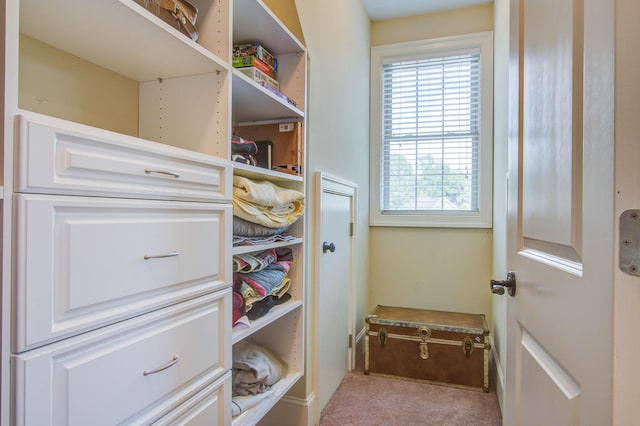 walk in closet featuring carpet flooring