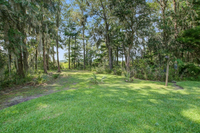 view of green lawn
