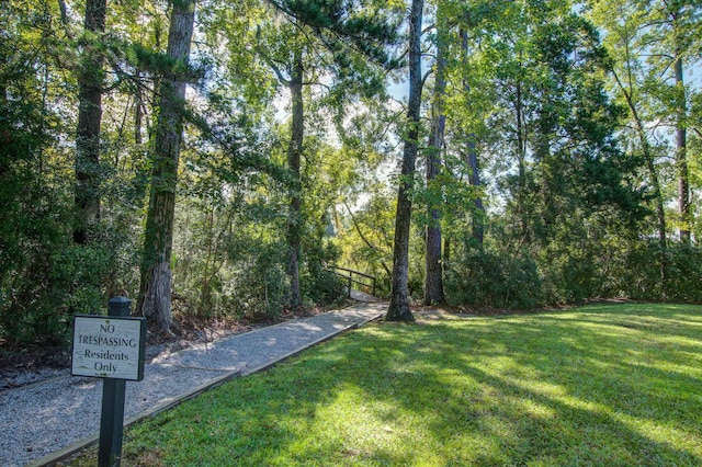 view of grassy yard featuring a wooded view