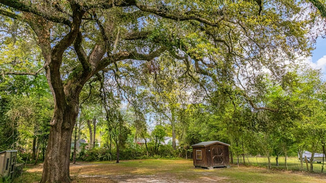 view of yard featuring a shed and an outdoor structure