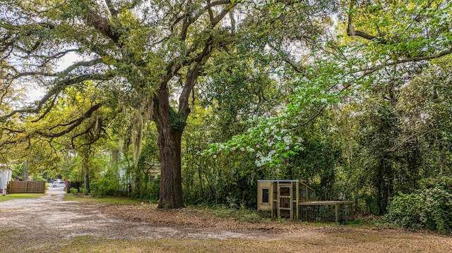 view of yard with exterior structure, an outdoor structure, and a forest view