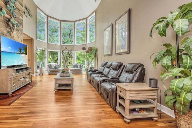 living room with a high ceiling and light hardwood / wood-style floors