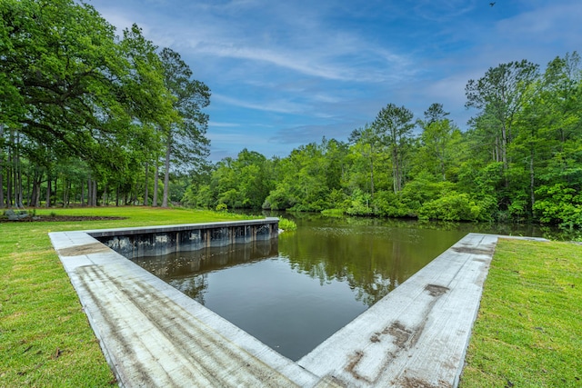 view of home's community with a yard and a water view