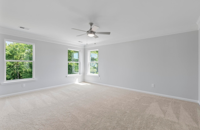 carpeted spare room with ceiling fan and crown molding