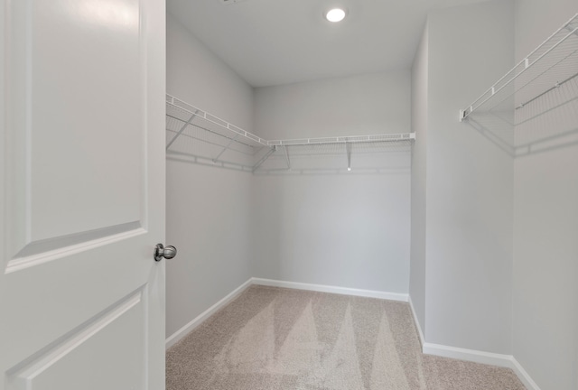 spacious closet with light carpet