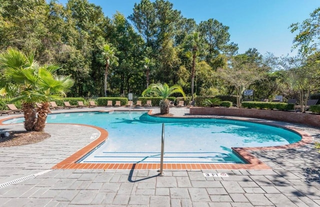 view of pool featuring a patio area