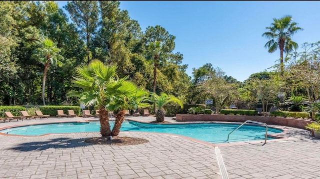 view of pool featuring a patio