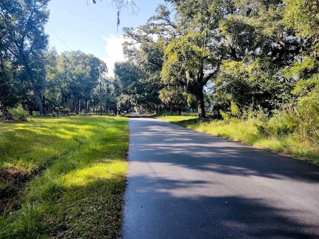 Listing photo 2 for LotA Shell House Road, Edisto Island SC 29438