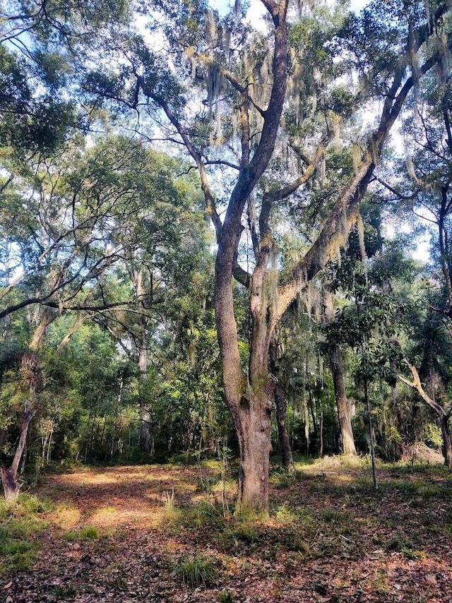 Listing photo 3 for LotA Shell House Road, Edisto Island SC 29438