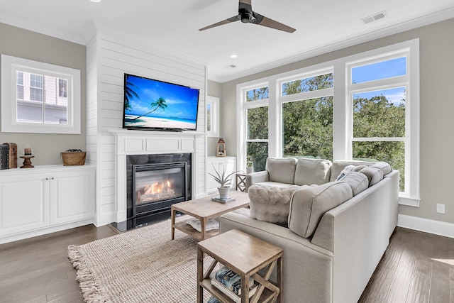 2072 Amenity Park Dr, Mount Pleasant, SC 29466 - living area with crown molding, a glass covered fireplace, ceiling fan, dark wood-style flooring, and baseboards
