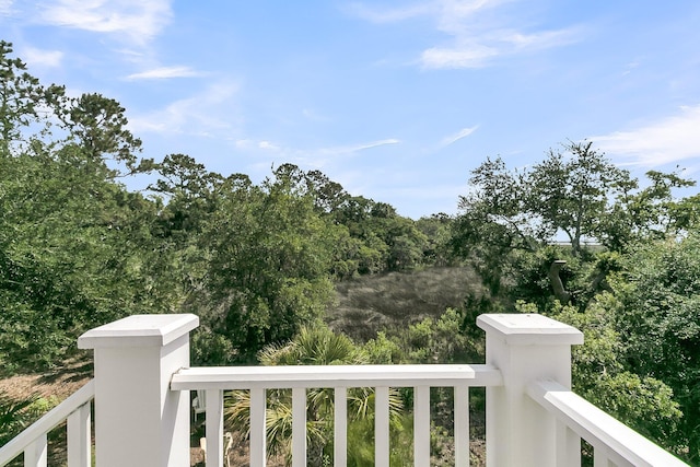 2072 Amenity Park Dr, Mount Pleasant, SC 29466 - view of balcony