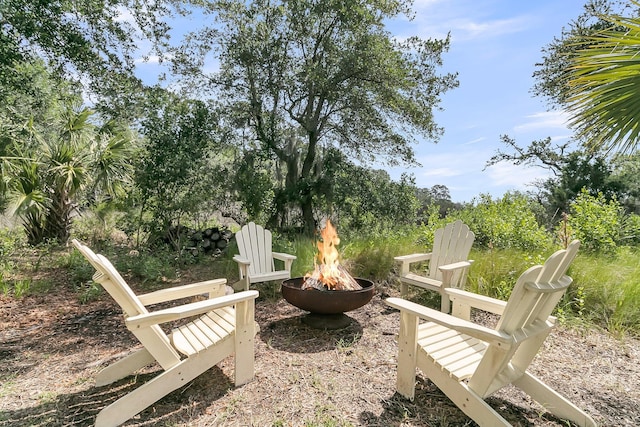 2072 Amenity Park Dr, Mount Pleasant, SC 29466 - view of yard with an outdoor fire pit