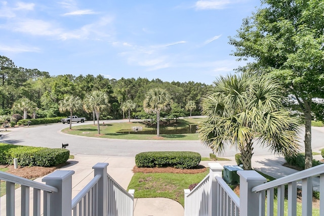 2072 Amenity Park Dr, Mount Pleasant, SC 29466 - view of home's community with view of wooded area