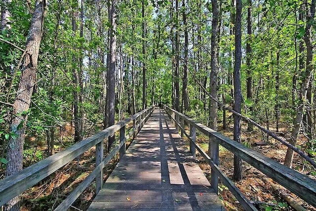 2072 Amenity Park Dr, Mount Pleasant, SC 29466 - view of property's community featuring a view of trees