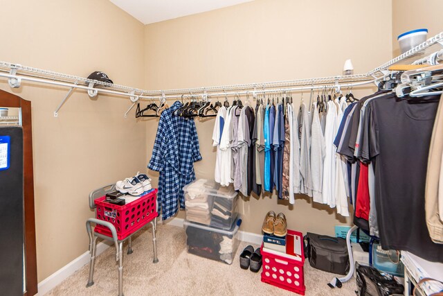 spacious closet featuring carpet floors