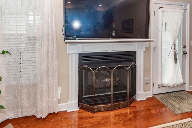 room details featuring hardwood / wood-style flooring