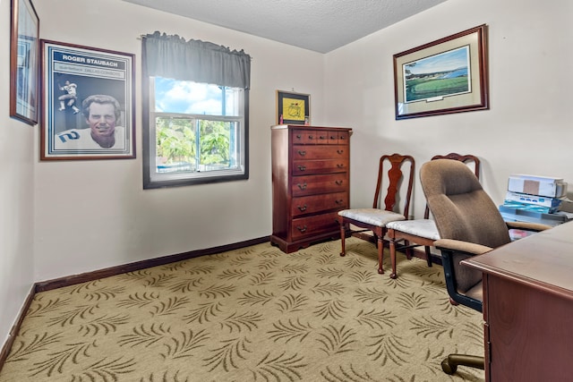 office space with a textured ceiling and light carpet