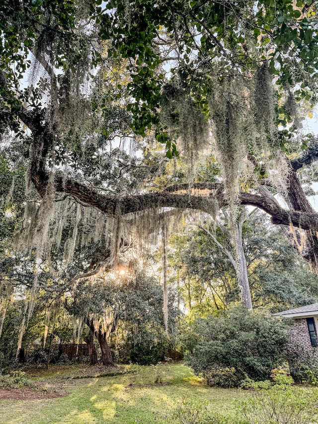 view of nature