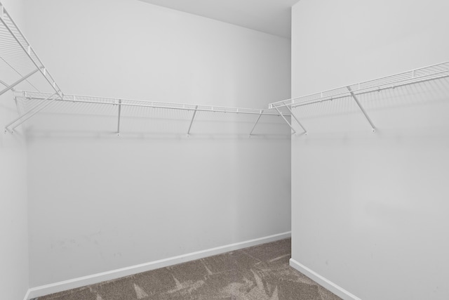 spacious closet with carpet flooring