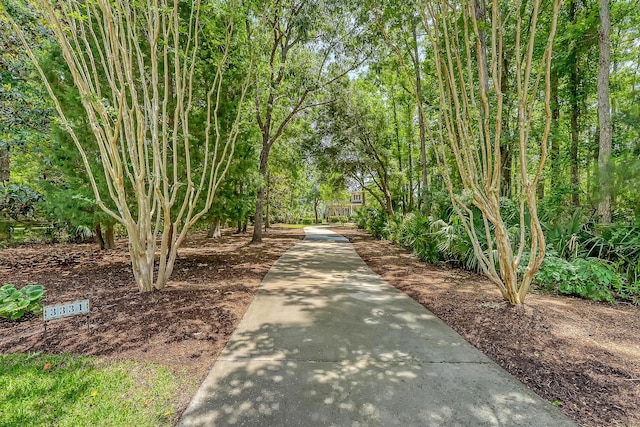 3331 Cottonfield Dr, Mount Pleasant, SC 29466 - view of surrounding community
